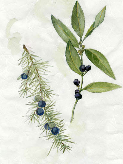 Floral for JAHRRIESNGE flowers-lpf06913 Floral JAHRRIESNGE for flowers-lpf06913