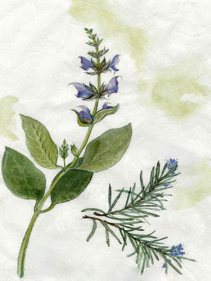 Floral for JAHRRIESNGE flowers-lpf06915 Floral JAHRRIESNGE for flowers-lpf06915