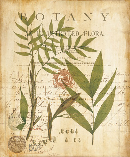 Floral for JAHRRIESNGE leaves-lpf06926 Floral JAHRRIESNGE for leaves-lpf06926