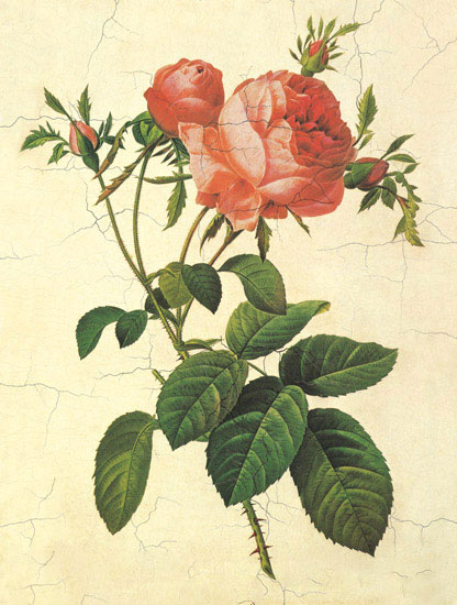 Floral for Jahrriesnge flowers-lpf06951 Floral Jahrriesnge for flowers-lpf06951