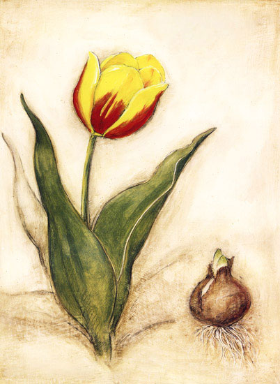 Floral for JAHRRIESNGE flowers-lpf06961 Floral JAHRRIESNGE for flowers-lpf06961