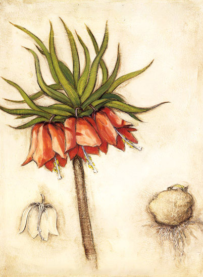 Floral for JAHRRIESNGE flowers-lpf06962 Floral JAHRRIESNGE for flowers-lpf06962