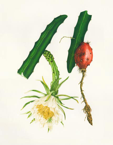 Floral for JAHRRIESNGE flowers-lpf06989 Floral JAHRRIESNGE for flowers-lpf06989