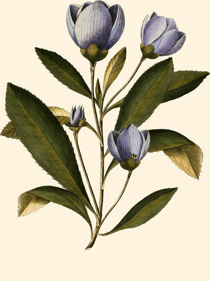 Floral for JAHRRIESNGE flowers-lpf06994 Floral JAHRRIESNGE for flowers-lpf06994