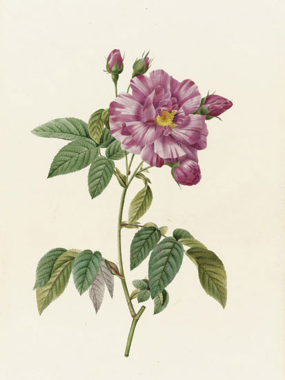 Floral for JAHRRIESNGE flowers-lpf07013 Floral JAHRRIESNGE for flowers-lpf07013