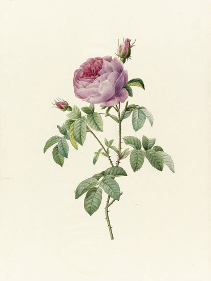 Floral for JAHRRIESNGE flowers-lpf07015 Floral JAHRRIESNGE for flowers-lpf07015