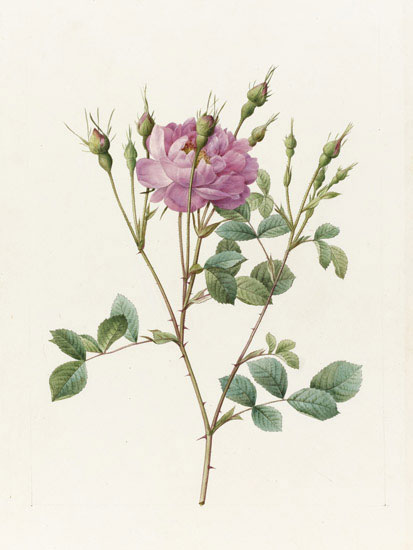 Floral for JAHRRIESNGE flowers-lpf07018 Floral JAHRRIESNGE for flowers-lpf07018