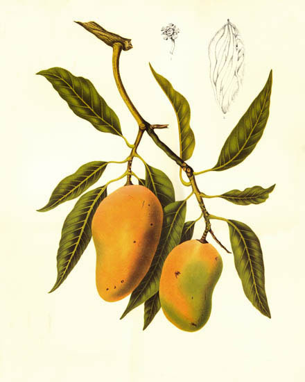 Floral for JAHRRIESNGE flowers-lpf07027 Floral JAHRRIESNGE for flowers-lpf07027