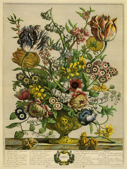 Floral for JAHRRIESNGE flowers-lpf07091 Floral JAHRRIESNGE for flowers-lpf07091