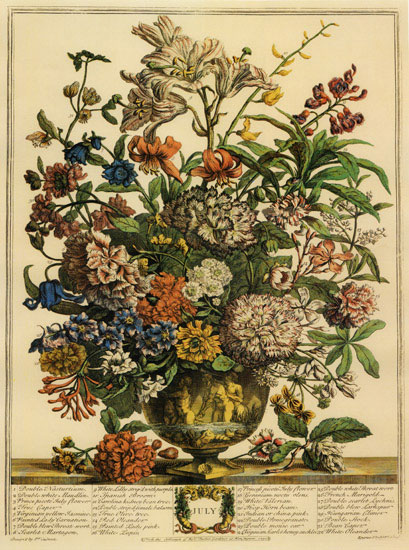 Floral for JAHRRIESNGE flowers-lpf07093 Floral JAHRRIESNGE for flowers-lpf07093