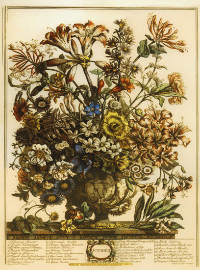 Floral for JAHRRIESNGE flowers-lpf07095 Floral JAHRRIESNGE for flowers-lpf07095