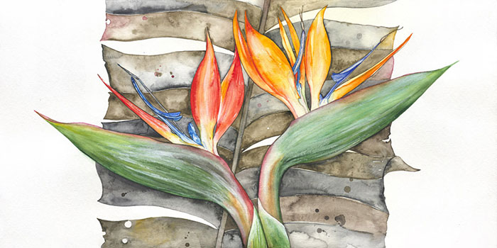 Floral for JAHRRIESNGE flowers-lpf07105 Floral JAHRRIESNGE for flowers-lpf07105