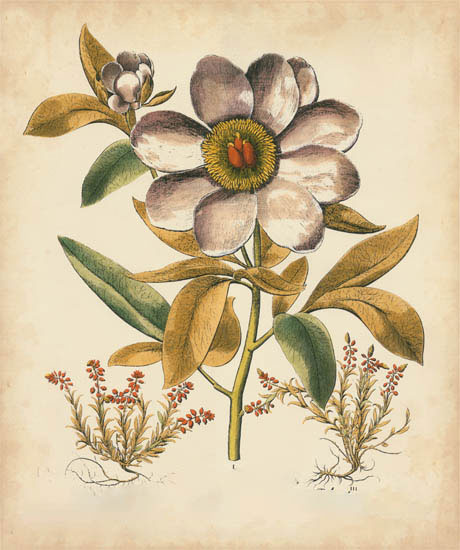 Floral for JAHRRIESNGE flowers-lpf07109 Floral JAHRRIESNGE for flowers-lpf07109