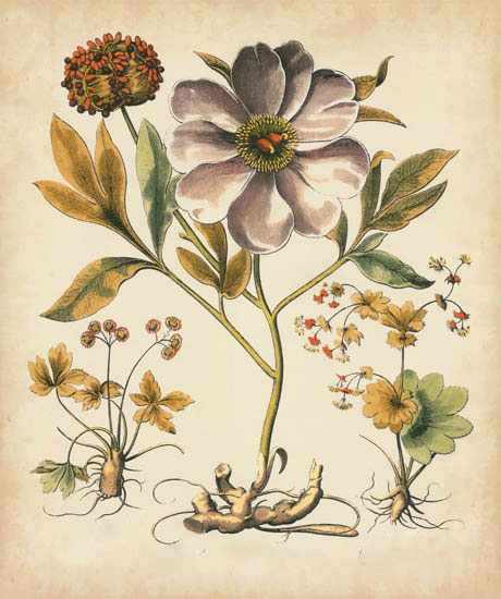 Floral for JAHRRIESNGE flowers-lpf07110 Floral JAHRRIESNGE for flowers-lpf07110