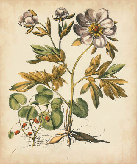 Floral for JAHRRIESNGE flowers-lpf07111 Floral JAHRRIESNGE for flowers-lpf07111