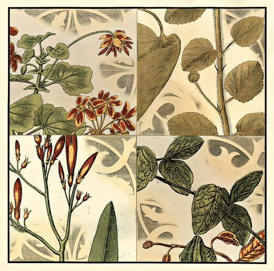 Floral for JAHRRIESNGE flowers-lpf07145 Floral JAHRRIESNGE for flowers-lpf07145