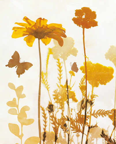 Floral for JAHRRIESNGE flowers-lpf07156 Floral JAHRRIESNGE for flowers-lpf07156