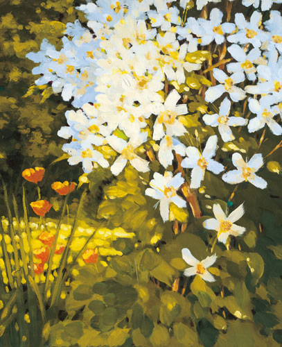 Floral for JAHRRIESNGE flowers-lpf07161 Floral JAHRRIESNGE for flowers-lpf07161