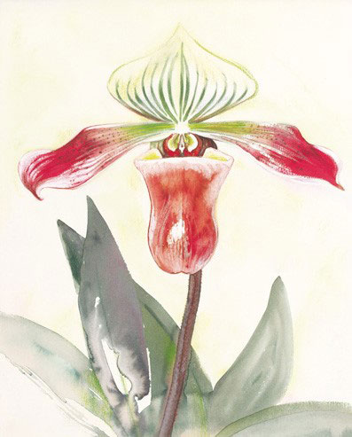 Floral for JAHRRIESNGE flowers-lpf07173 Floral JAHRRIESNGE for flowers-lpf07173