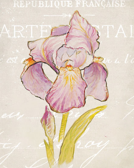 Floral for JAHRRIESNGE flowers-lpf07178 Floral JAHRRIESNGE for flowers-lpf07178