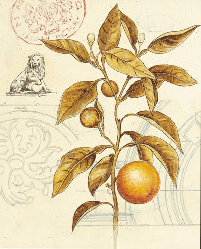 Floral for JAHRRIESNGE flowers-lpf07185 Floral JAHRRIESNGE for flowers-lpf07185