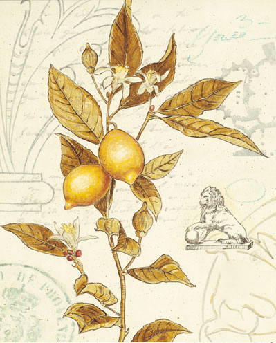 Floral for JAHRRIESNGE flowers-lpf07186 Floral JAHRRIESNGE for flowers-lpf07186