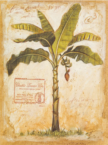 Floral for JAHRRIESNGE flowers-lpf07195 Floral JAHRRIESNGE for flowers-lpf07195