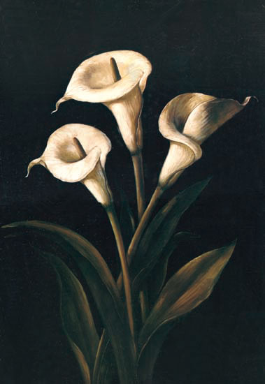 Floral for JAHRRIESNGE flowers-lpf07235 Floral JAHRRIESNGE for flowers-lpf07235