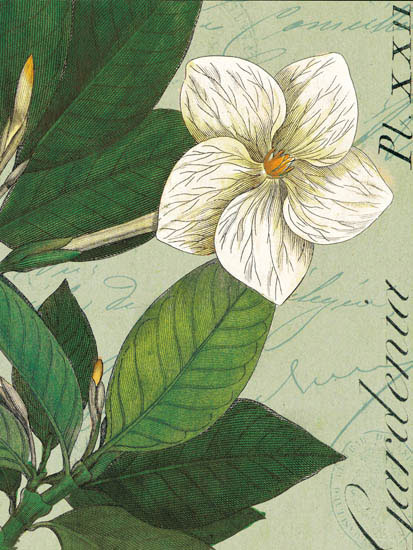 Floral for Jahrriesnge flowers-lpf07270 Floral Jahrriesnge for flowers-lpf07270