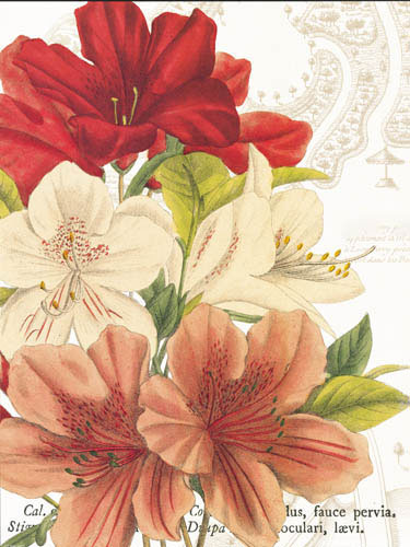 Floral for JAHRRIESNGE flowers-lpf07280 Floral JAHRRIESNGE for flowers-lpf07280