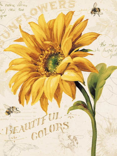 Floral for JAHRRIESNGE flowers-lpf07286 Floral JAHRRIESNGE for flowers-lpf07286