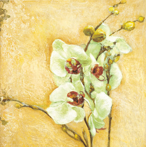 Floral for JAHRRIESNGE flowers-lpf07338 Floral JAHRRIESNGE for flowers-lpf07338