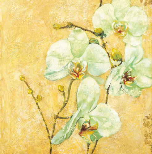 Floral for JAHRRIESNGE flowers-lpf07339 Floral JAHRRIESNGE for flowers-lpf07339