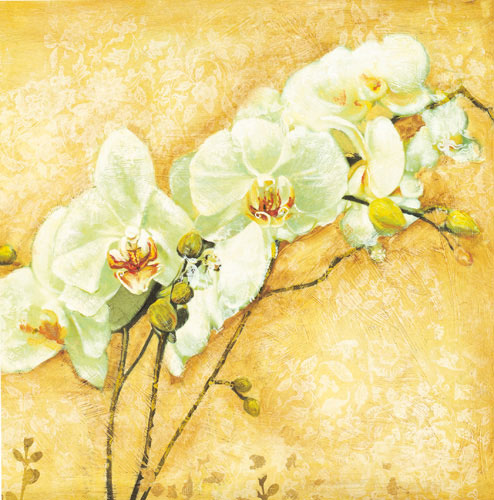 Floral for JAHRRIESNGE flowers-lpf07340 Floral JAHRRIESNGE for flowers-lpf07340