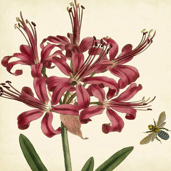 Floral for JAHRRIESNGE flowers-lpf07414 Floral JAHRRIESNGE for flowers-lpf07414