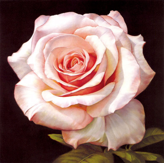 Floral for JAHRRIESNGE flowers-lpf07538 Floral JAHRRIESNGE for flowers-lpf07538