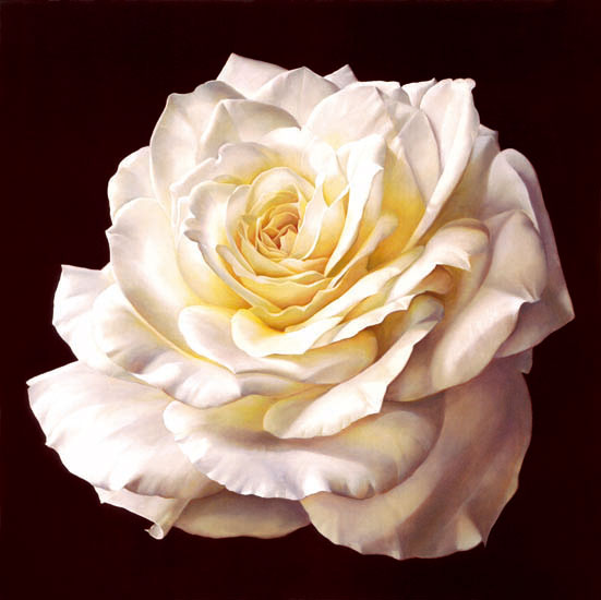 Floral for JAHRRIESNGE flowers-lpf07541 Floral JAHRRIESNGE for flowers-lpf07541