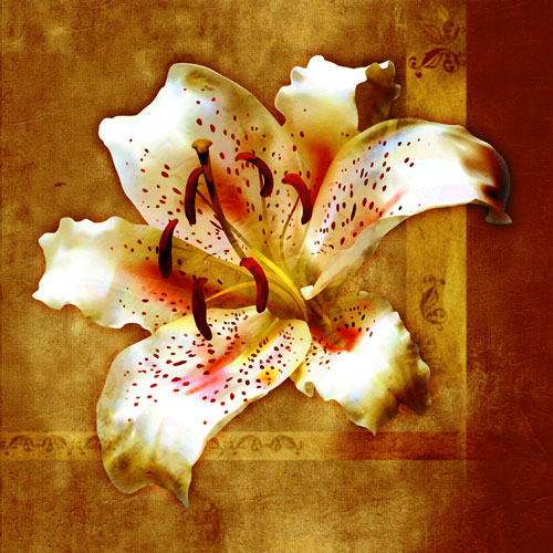 Floral for JAHRRIESNGE flowers-lpf07548 Floral JAHRRIESNGE for flowers-lpf07548