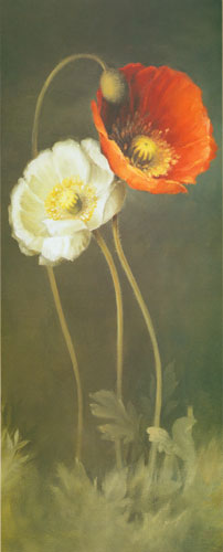 Floral for JAHRRIESNGE flowers-lpf07620 Floral JAHRRIESNGE for flowers-lpf07620