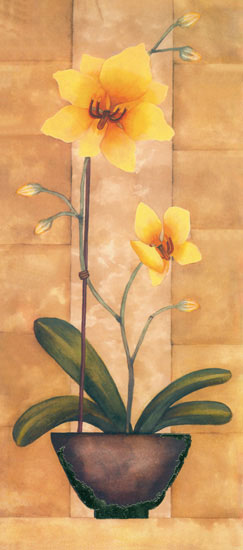 Floral for JAHRRIESNGE flowers-lpf07683 Floral JAHRRIESNGE for flowers-lpf07683