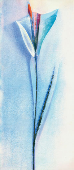 Floral for JAHRRIESNGE flowers-lpf07689 Floral JAHRRIESNGE for flowers-lpf07689