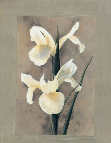 Floral for JAHRRIESNGE flowers lpf07894 Floral JAHRRIESNGE for flowers lpf07894