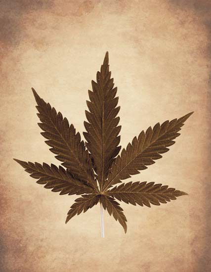 Floral JAHRRIESNGE  for leaf lpf08075 