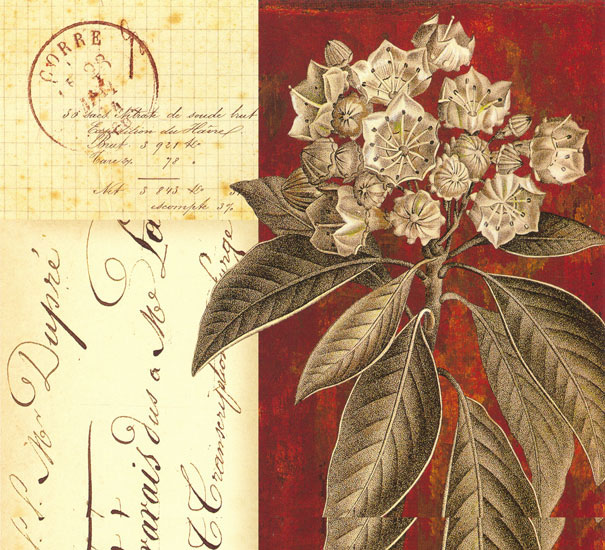 Floral JAHRRIESNGE  for flowers lpf08130 