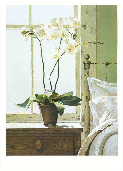 Floral for JAHRRIESNGE flowers lpf08156 Floral JAHRRIESNGE for flowers lpf08156