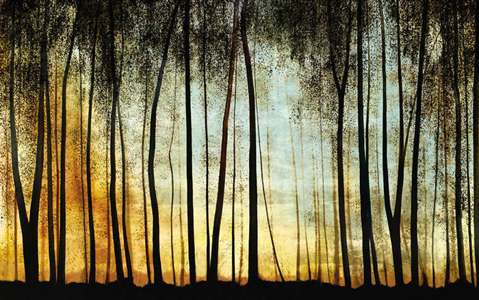 Landscape for JAHRRIESNGE trees lpf08310 Landscape JAHRRIESNGE for trees lpf08310