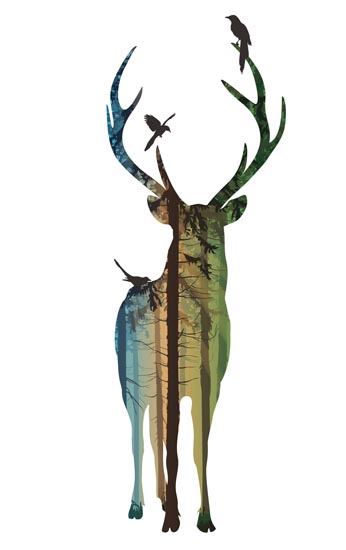 Animals for Jahrriesnge deer lpf08618 Animals Jahrriesnge for deer lpf08618