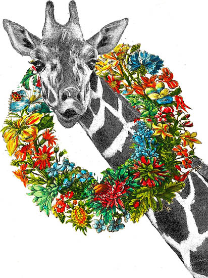 Animals for Jahrriesnge giraffe lpf08636 Animals Jahrriesnge for giraffe lpf08636