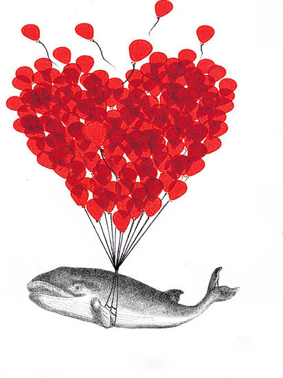 Animals for Jahrriesnge fish lpf08639 Animals Jahrriesnge for fish lpf08639