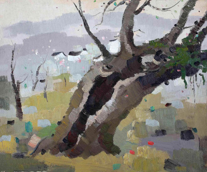 Landscape for Jahrriesnge trees lpf09222 Landscape Jahrriesnge for trees lpf09222